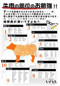 牛肉の部位のお勉強